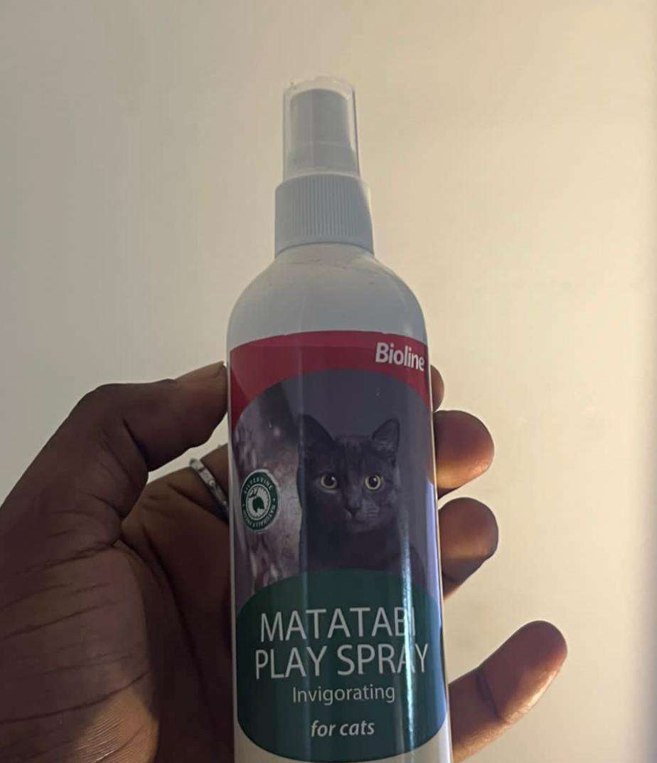 Bioline Matatabi Play Spray for cats