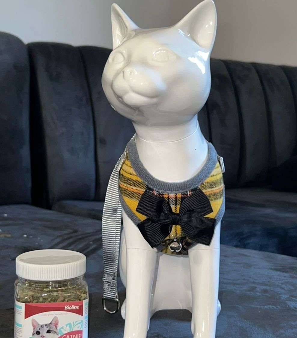 Adjustable Harness Cat Vest