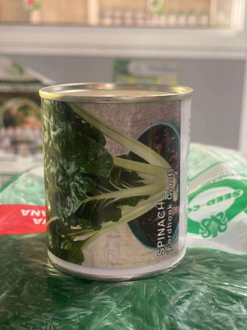 Spinach Fordhook Giant Seeds - 50 gm