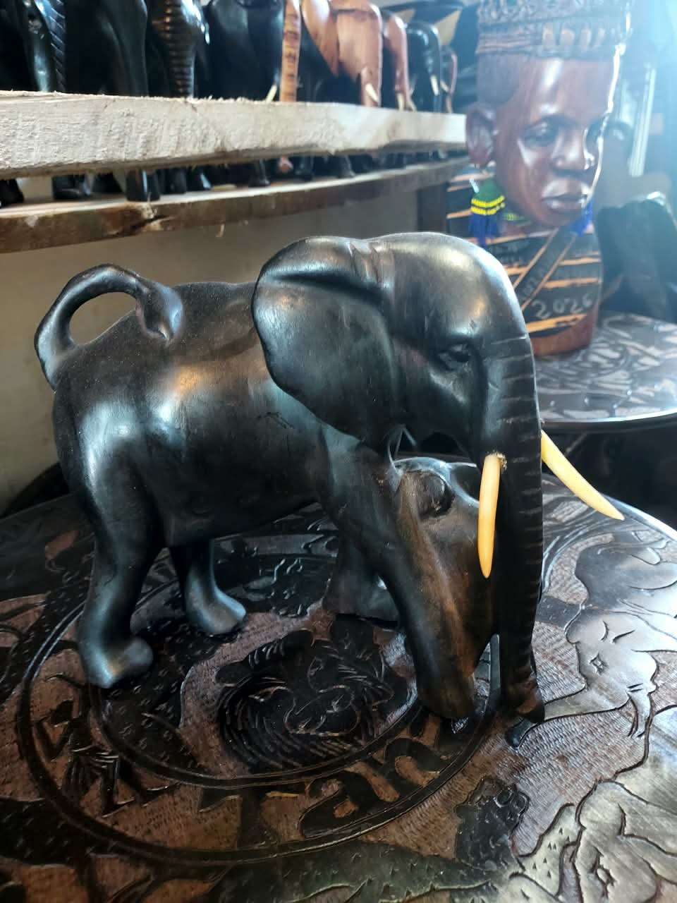 Tembo Mkonga Chini