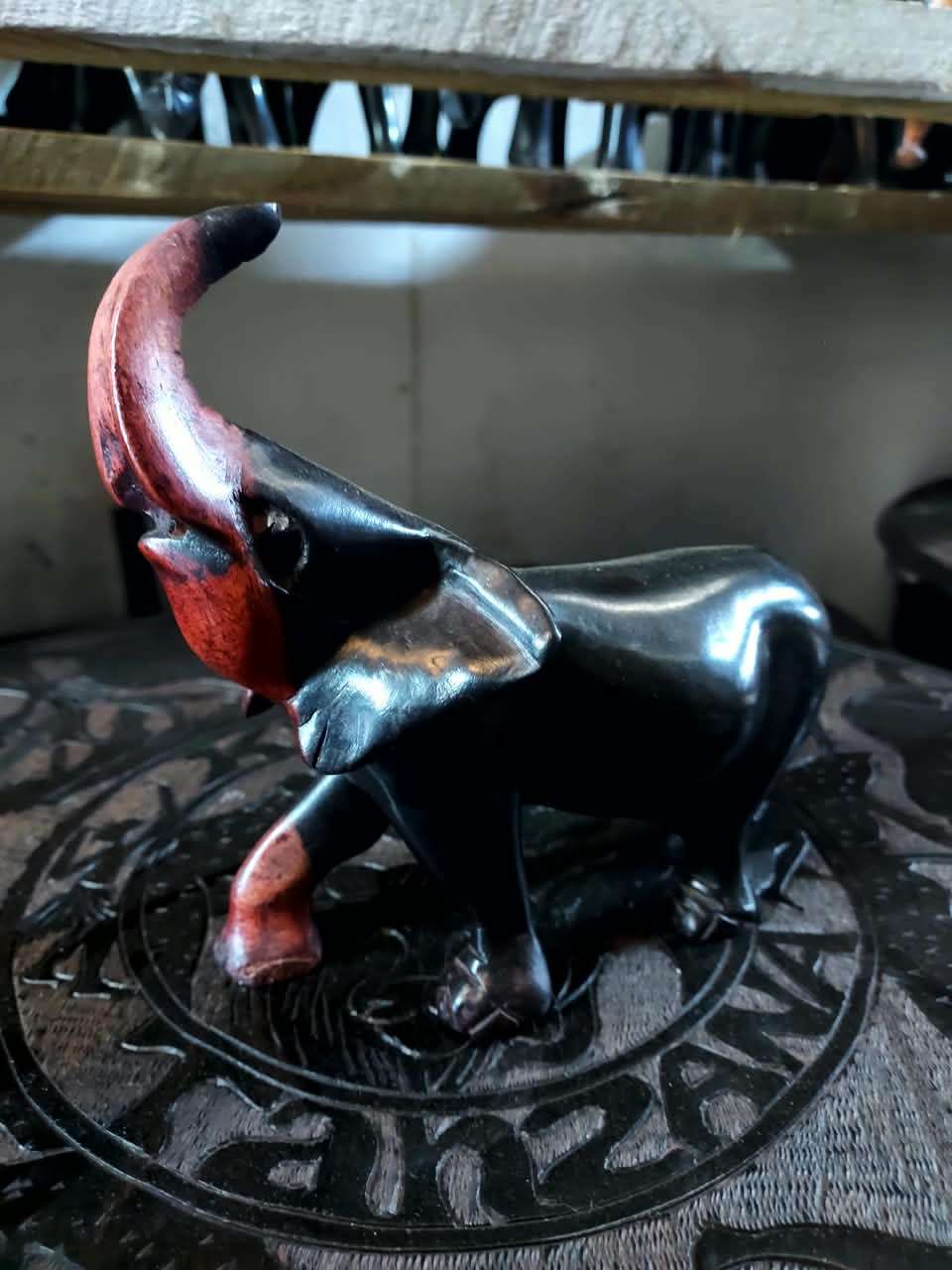 Truncker Elephant (Tembo wa Mkonga Juu)
